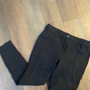 Loft Dress Pant